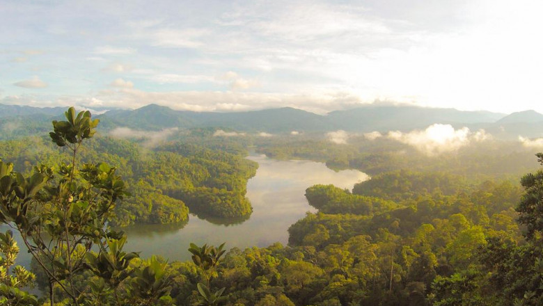 the ultimate cheat sheet on go bus egypt