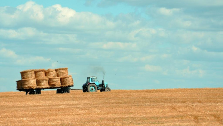 16 mustfollow facebook pages for luxury yacht charters gold coast marketers