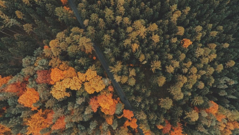 free income tax efiling for fy 202021 ay 202122 file taxes