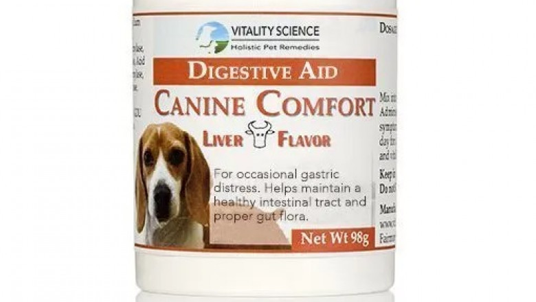 Canine Comfort