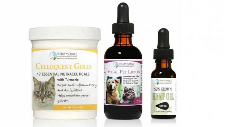 Cat Cancer Supplement