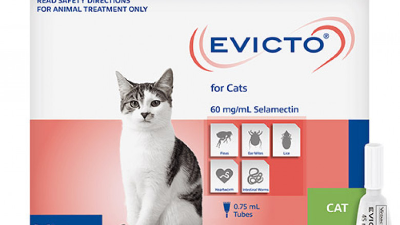 Buy Evicto Spot-On For Cats 2.6-7.5kg Green | Free Shipping