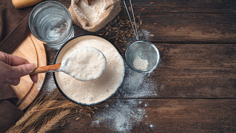 Fermented Food Market Analysis Size, Demand, Segmentation, Regional Portfolio, Forecast