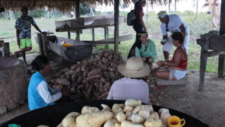Native Starches Market Share, Size, Revenue, Key Driven, Regional Outlook, Trend, Forecast
