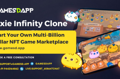 Guidance About Using Axie Infinity Clone