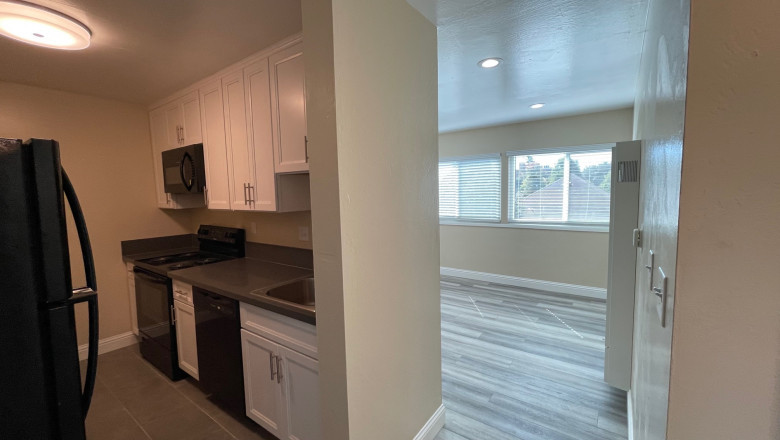 Is finding homes for rent near San Francisco a good idea?