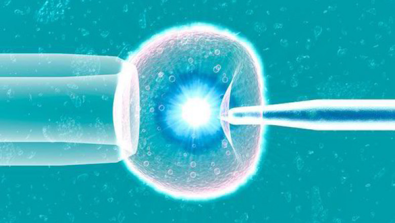 Stem Cell Assays Market | Global Industry Trends, Segmentation, Business Opportunities & Forecast To 2028