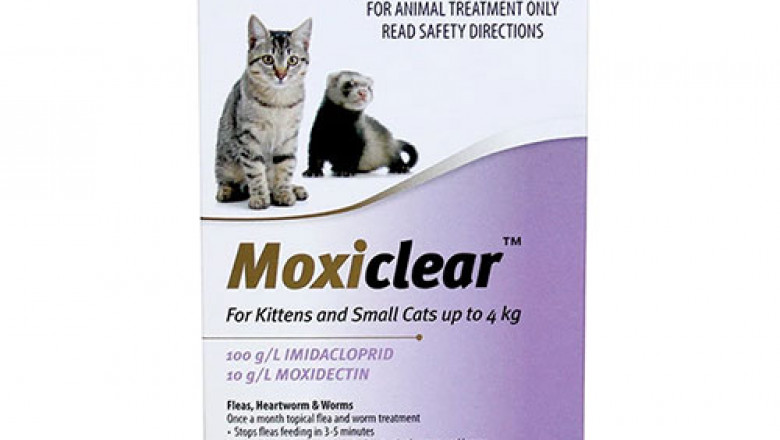 Buy Moxiclear For Kittens And Small Cats Up To 4 Kg Purple