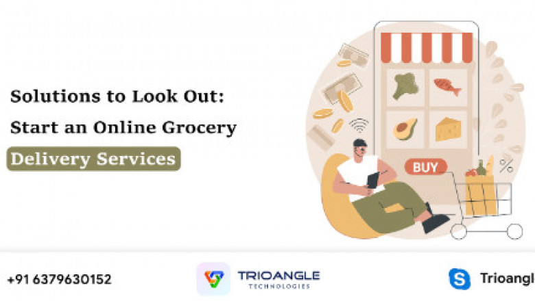 There are some Solutions to Look Out to Start an Online Grocery Delivery Services