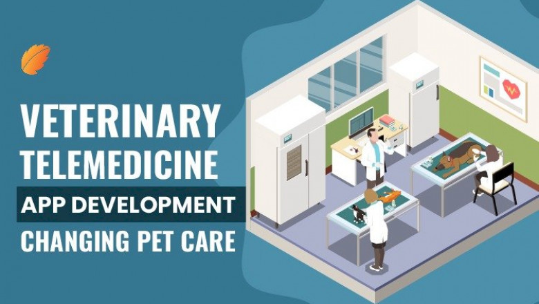 Veterinary Telemedicine App Development Changing Pet Care