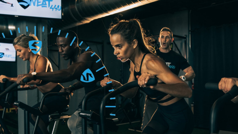 What Is The Primary Purpose Of Fitness Gyms?