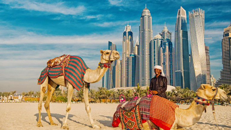 Why Add a Desert Safari Tour of Dubai to Your Wishlist?