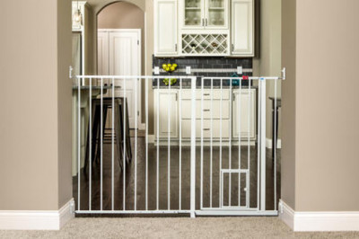 How to Keep Your Pets Safe During DIY Projects