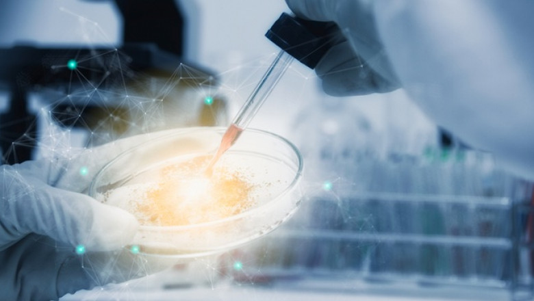 Report on Cell And Gene Therapy Clinical Trials Market Research 2028 - Value Market Research