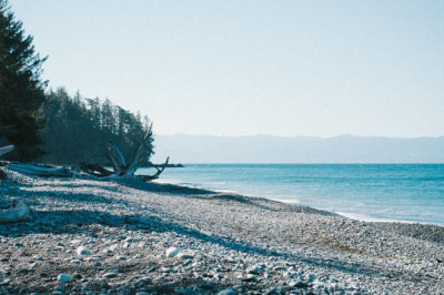 the web playing poker games