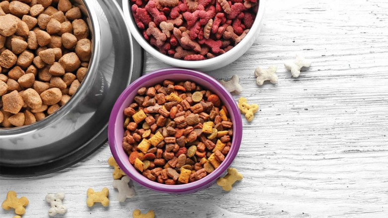 Pet Snacks And Treats Market | Global Industry Trends, Segmentation, Business Opportunities & Forecast To 2028