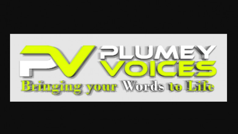 What Can you Anticipate From Voice Over Agencies?