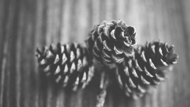 how to coach executives to become agile leaders executive business coaching