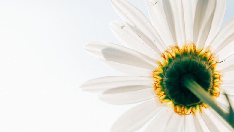 my panel ogrodzeniowy plastikowycool blog 8901