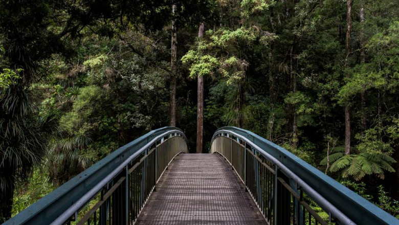 10 undeniable reasons people hate yorkies puppies for sale