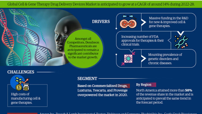 Cell & Gene Therapy Drug Delivery Devices Market Research for 2022-28 providing information on Key Players, Growth Drivers and Industry challenges