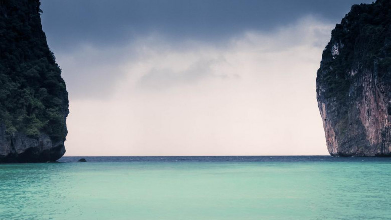 how to explain teacup yorkies for sale to a fiveyearold