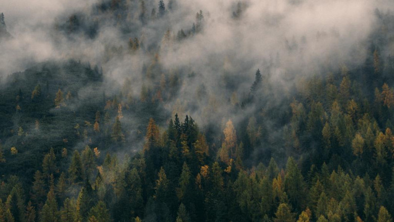 maid cleanup house cleaning one time or recurring deep house cleaning services