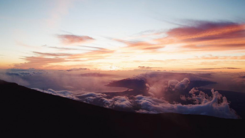 occupational direct exposure to pesticides and respiratory health and wellness