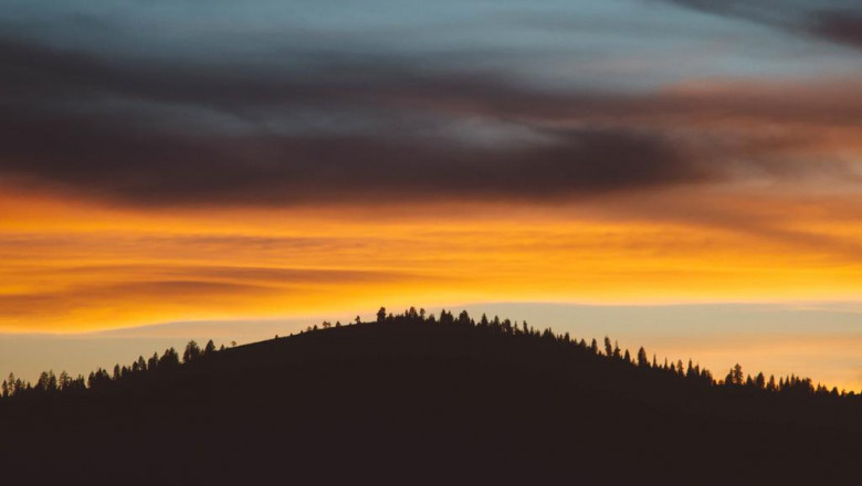 pesticides herbicides and also plant foods