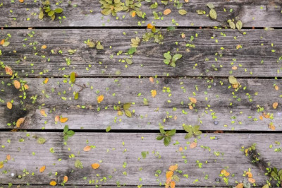 baccarat rouge 540 eau de parfum 70 ml baccarat