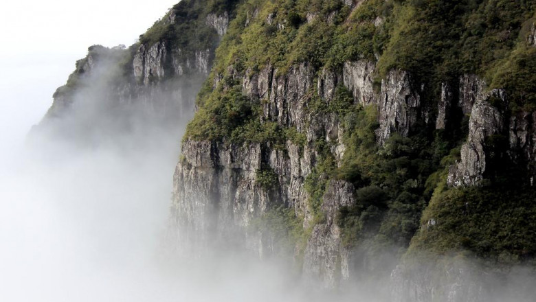 baccarat rouge 540 perfume review the fragrance that generally receives compliments