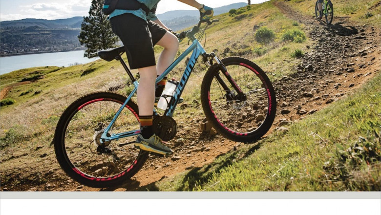 Buy Low Price Best Adult Mountain Bikes Under $350