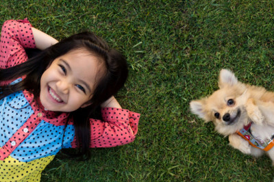 Five Reasons Why People Love Lawn Care Service.