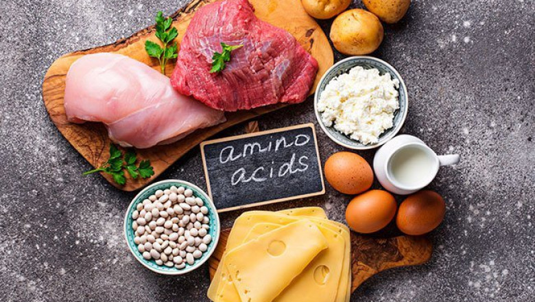 Food Amino Acids Market 2022, Industry Size, Trends, Share, Growth, Analysis and Forecast to 2028