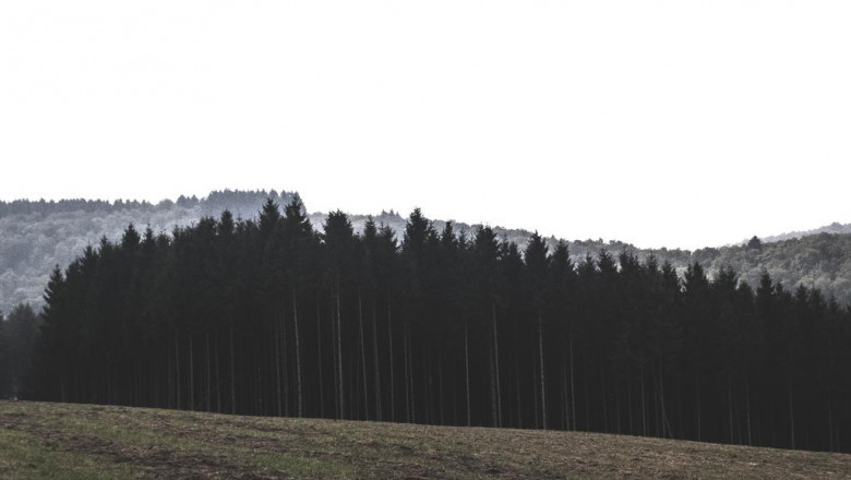 how much does a cpap device expense to deal with sleep apnea