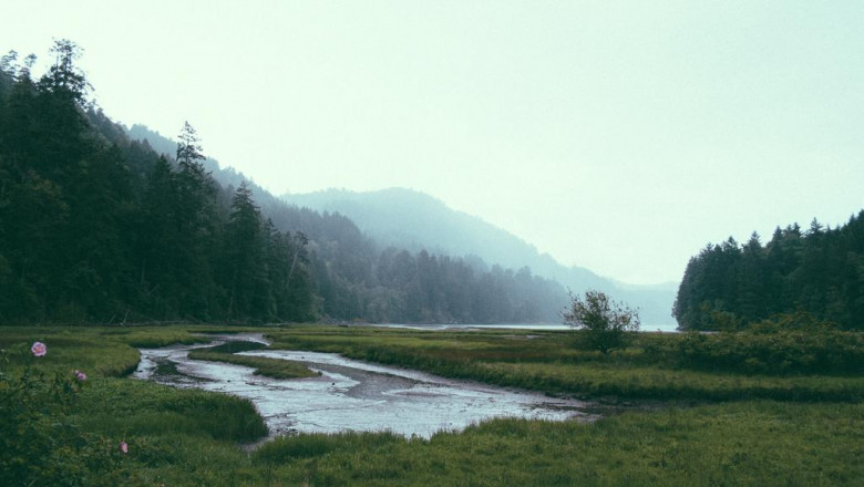 ios and android app development cost