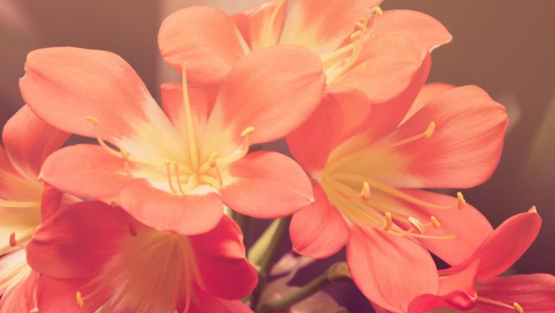 is investing in actual estate your ideal option