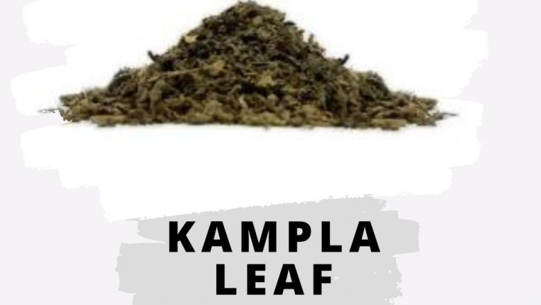 Kampla Leaf Manufacturer, Exporter, Wholesale Supplier