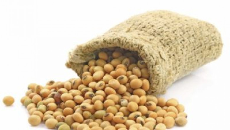 Lecithin Market Research Report by Service Type, Application, Vertical, Forecast to 2030