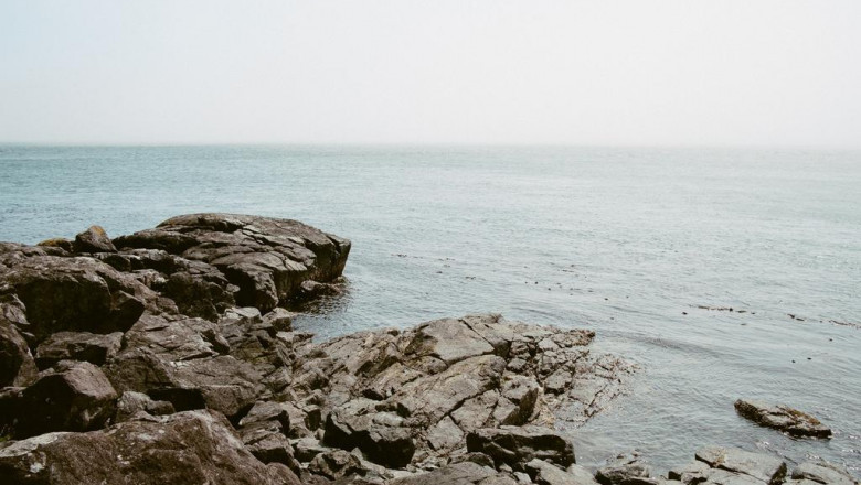 mainkan texas hold em pkv games daftar pkv games download pkv games cumacuma 2