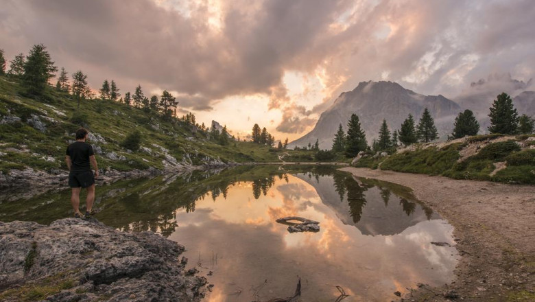 needed variables of car supply in canada