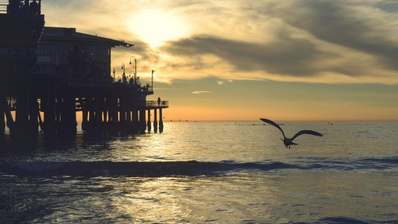 roofing contractors best roofing contractors near you roofing london ontario