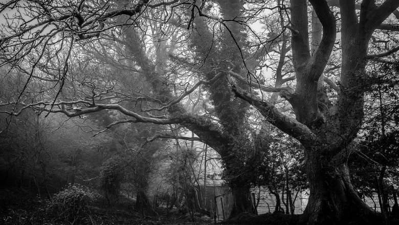 strategi daftar pkv games download pkv games giat untuk pemain terus