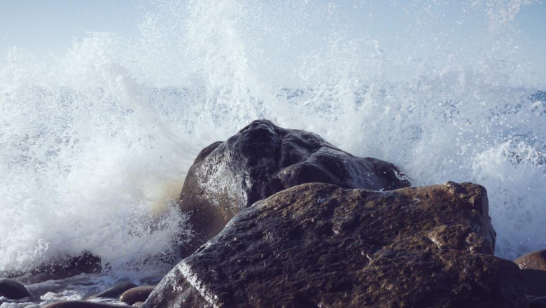 the 3 biggest disasters in teacup yorkie for sale cheap history