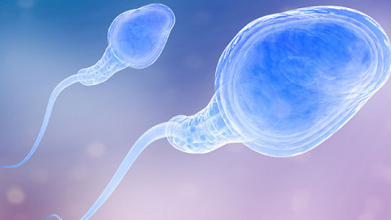 Azoospermia – ILC Dr.Heena Agrawal