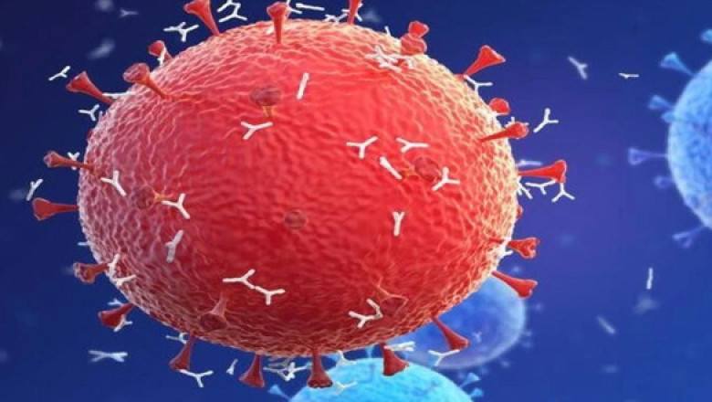 Global IL-6 Inhibitors Market: Detailed Analysis by Latest Trends, Demand and Forecast to 2028