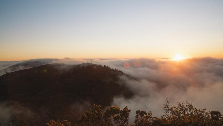 nationwide organization of criminal defense attorney