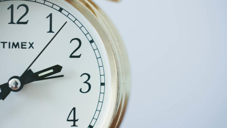 the worst advice you could ever get about yorkie for sale