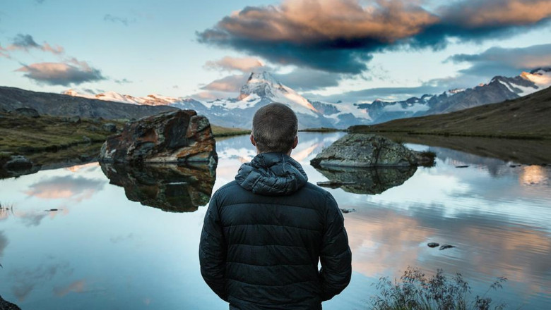 will yorkie puppies for sale ever rule the world