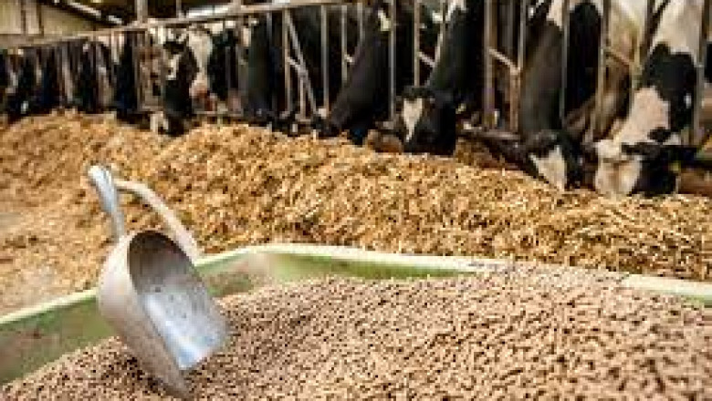 Global Animal Feed Market Is Anticipated To Grow At A CAGR Of More Than 2.90% In Value Terms In The Forecast Period.